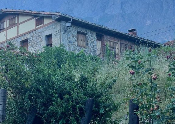 Lon Casa | CASA MODESTO