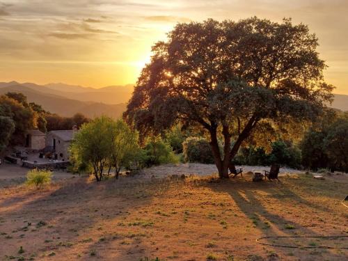 Montefrio Casa | Casa Montaña Rustica with beautiful views