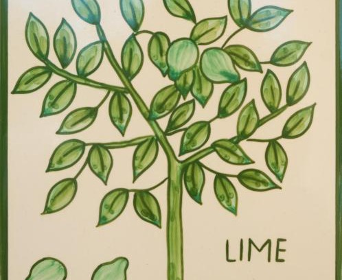 Funchal Apartamento | Casa Monte Cristo Apartments - Lime