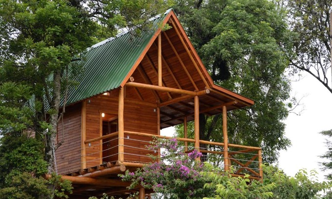 Joao Alves Casa | Casa na Árvore