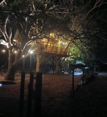 Santa Clara d'Oeste Cabina | Casa na arvore Dream tree house