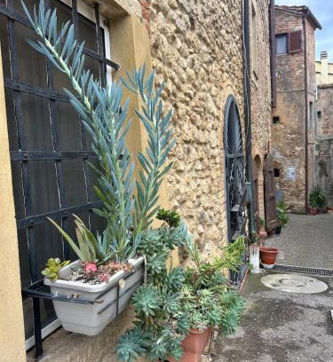 Bibbona Apartamento | Casa Nelly - accommodation in the heart of Bibbona!