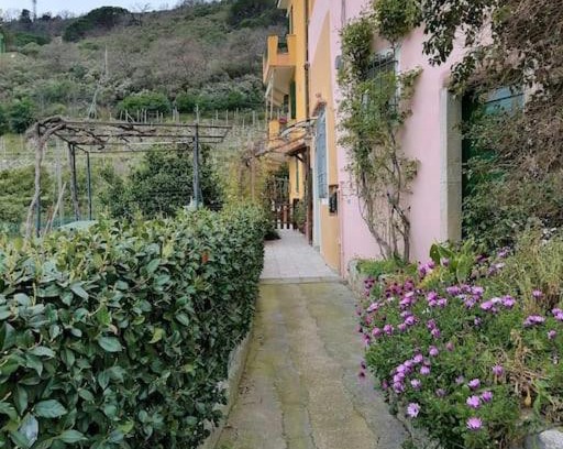 Finale Pia Casa | Casa Ninetta, tra mare e natura.