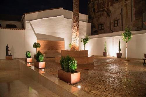Santiago Apartamento | Casa Palacio Muñoz Chaves
