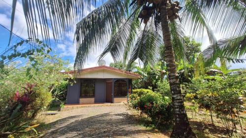 Puerto Jiménez Casa | Casa Palmera