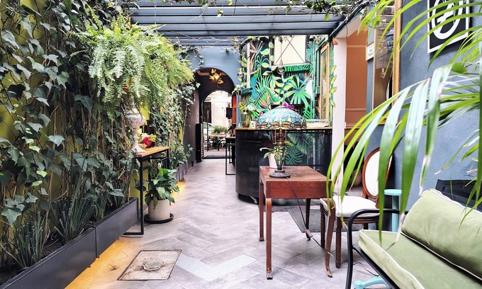 Colonia Cuauhtémoc Hotel | Casa Panuco