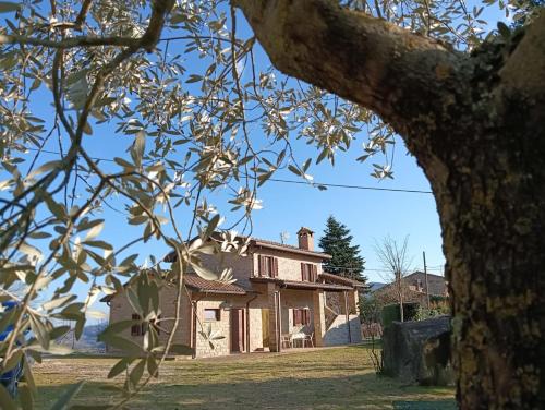 Assisi Casa | Casa Paradiso - Assisi