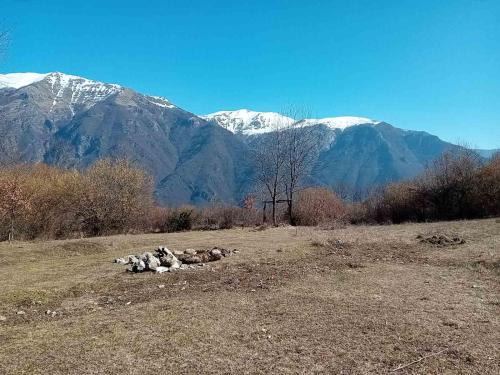 North Macedonia Otro | CASA Petra- tent