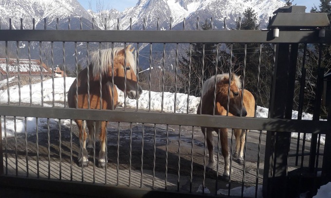 Malonno Casa | Casa pineta valcamonica