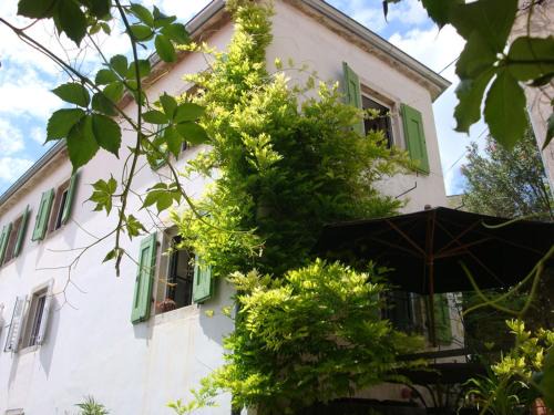Motovun Apartamento | Casa Pino Pina