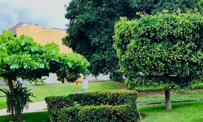 Bucerías Casa | Casa Polonia