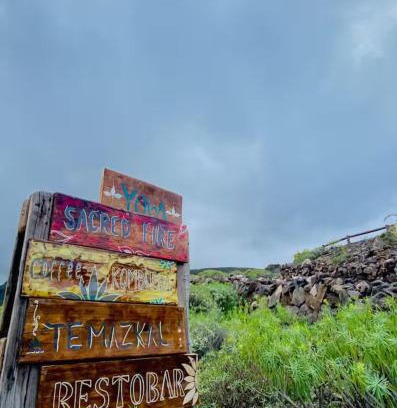 Agaete Otro | Casa Quetzal - Finca Oaxaca