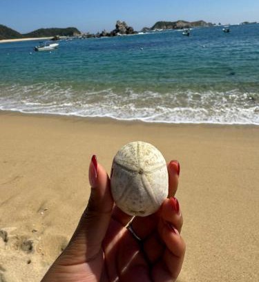 Santa María Huatulco Apartamento | Casa Quimera