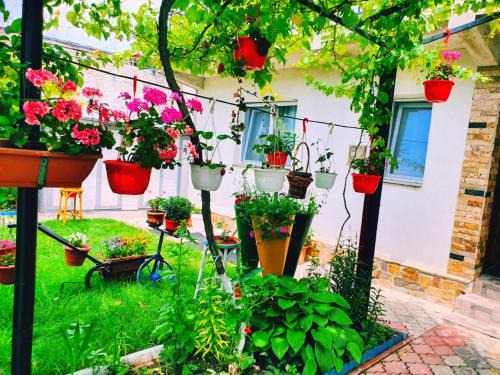 Vama Veche Casa | Casa Razvan Vama Veche
