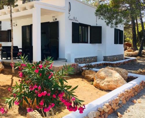 Playa de Es Figueral Apartamento | CASA RIBAS