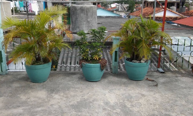 Vinales Casa | Casa Rigoberto