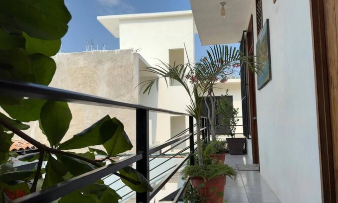Hidalgo Casa | Casa Rockot
