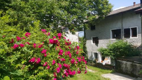 Delebio Casa | Casa Ronit