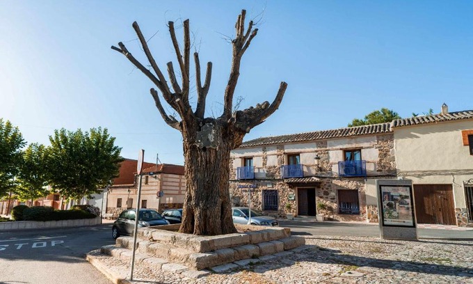 Layos Casa | Casa Rural Álamo Grande