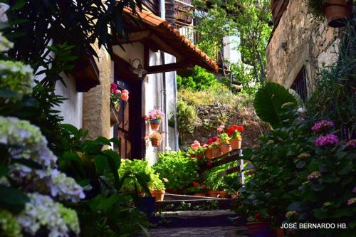 Mogarraz Casa | Casa Rural Amparo