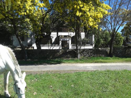Tejeda de Tietar Casa | Casa Rural La Vallejera