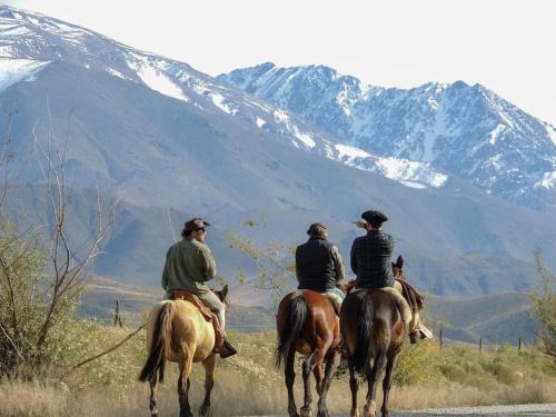 Tupungato Casa | Casa Rural Los Coirones 4Pax By Inside