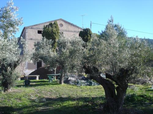 Ibi Casa | Casa Rural Masía Barbera