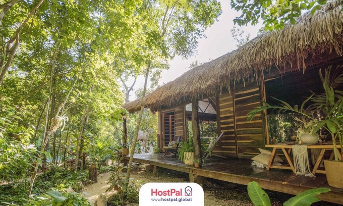 Leona Vicario Cabina | Casa Selvática Kokom | Ruta de los Cenotes | 6 PAX