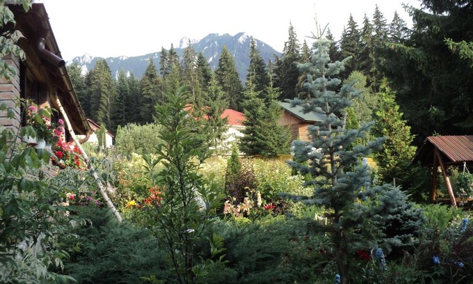 Durau Casa | Casa Serban