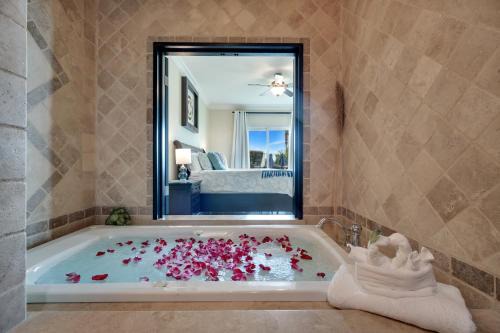 El Médano Ejidal Apartamento | Casa Sirena Cabo Poolside Oasis Minutes from Beach