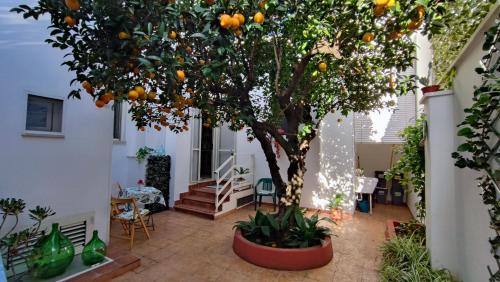 Maruggio Apartamento | Casa Sofia: comodi e tranquilli
