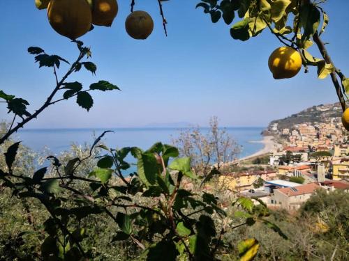 Piraino Apartamento | Casa Spisidda Appartamento bilocale "Salina" con vista sulle Eolie