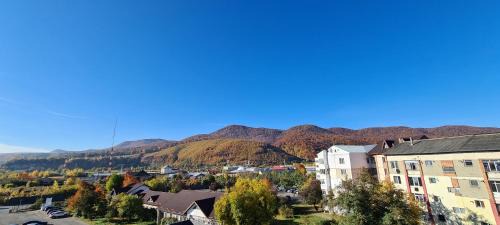 Piatra Neamt Apartamento | Casa Suzana