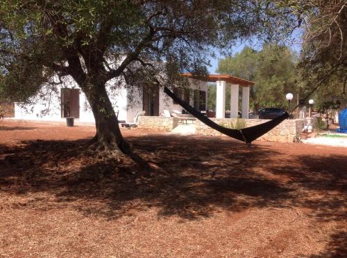 San Vito dei Normanni Casa | Casa tra ulivi e mandorli