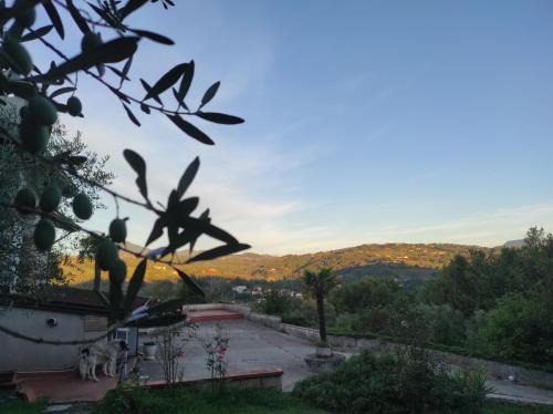 San Leucio del Sannio Apartamento | Casa vacanze in famiglia relax e natura