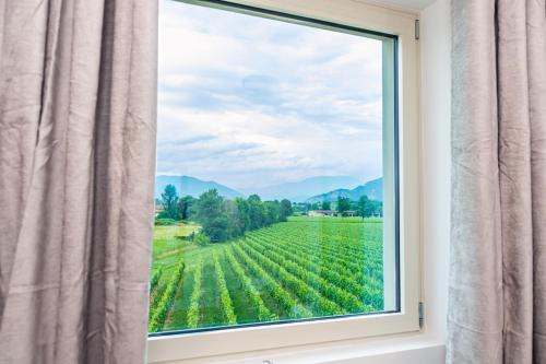 Torbiato di Adro Apartamento | Casa Vacanza Dany in Franciacorta Vista Vigneti