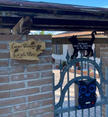 Nocera Umbra Casa | Casa vacanze fra gli ulivi