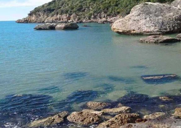 Minturno Apartamento | Casa vacanze Via Treglia