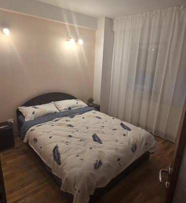 Timisoara Apartamento | Casa Vasy