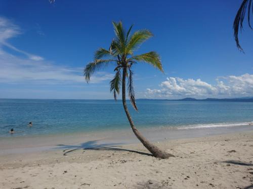 Cahuita Casa | Casa Verde, Cahuita