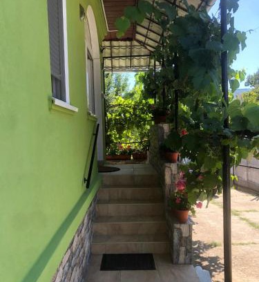 Vata de Jos Casa | Casa Verde