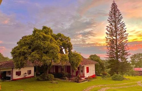 Pradera Cama Y Desayuno | Casa Vieja Mountain Lodge