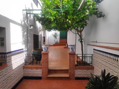 Archidona Casa | Casa Virgen de Gracia