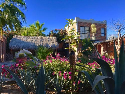 El Centenario Cama Y Desayuno | Casa Xochitl