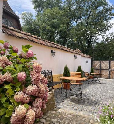 Sighisoara Casa | Casa Zatler 2#