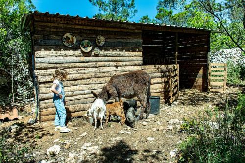 Alcobaca Casa | Casal das Fontainhas
