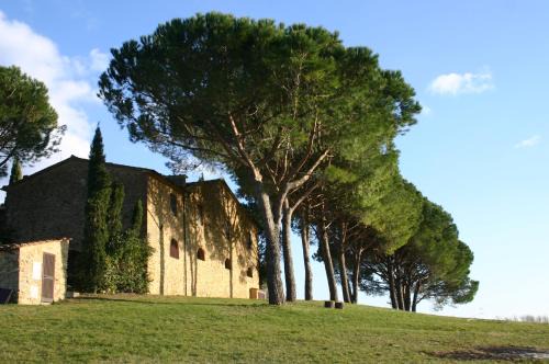 Casale Marittimo Apartamento | Casalevecchio