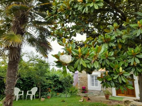 Villapresente Apartamento | casamarietacantabria