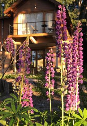 Villa La Angostura Apartamento | CasaSur- 37Robles