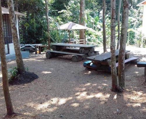 Novo Airao Casa | Casatemporada Piquiá